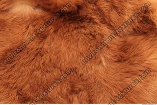 Photo Texture of Fabric Fur 0003